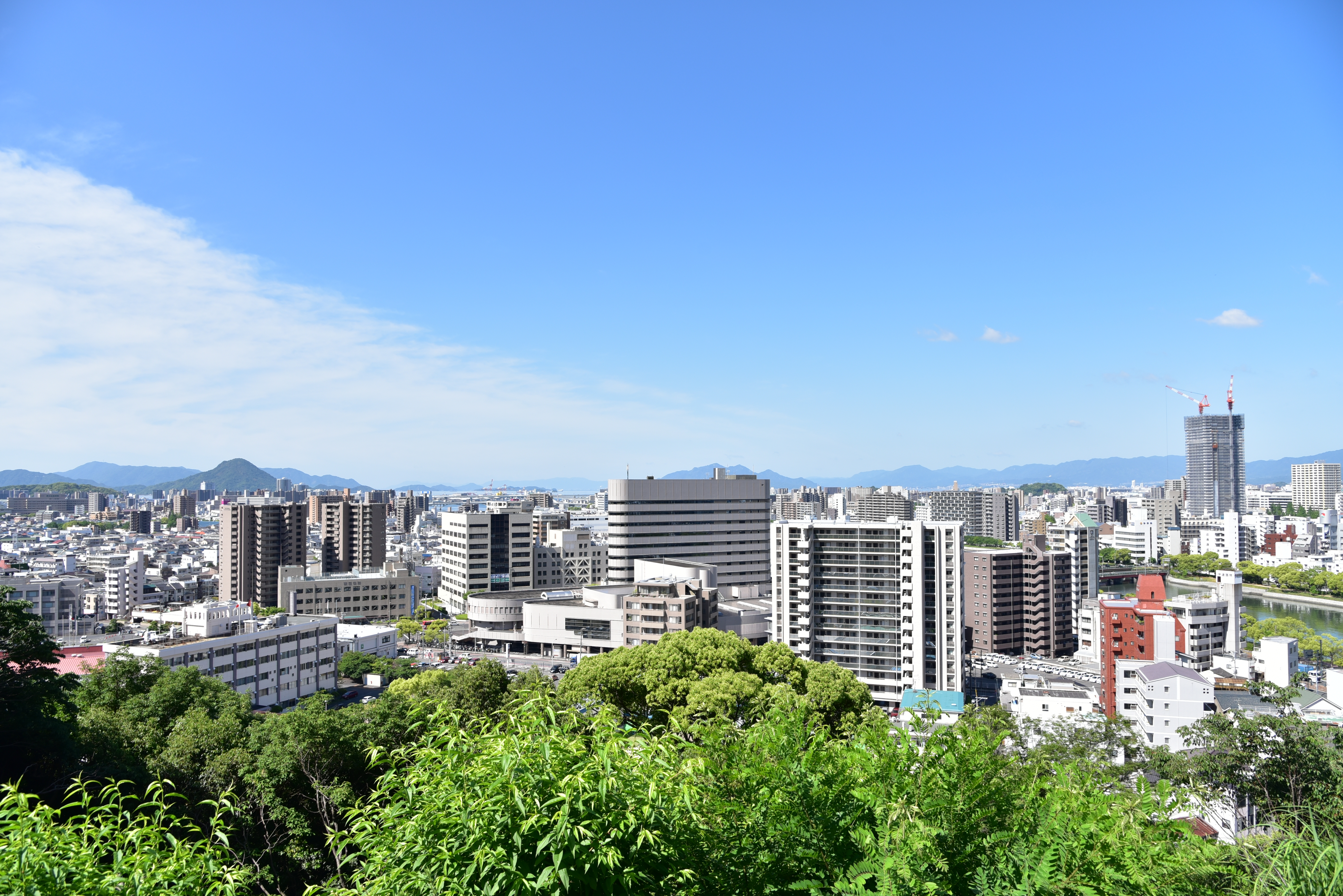 株式会社高山商会