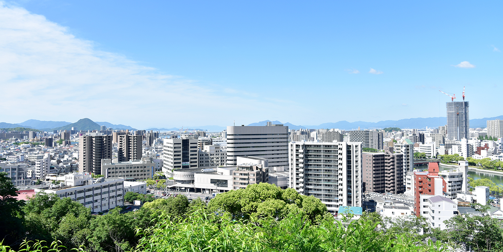 株式会社高山商会